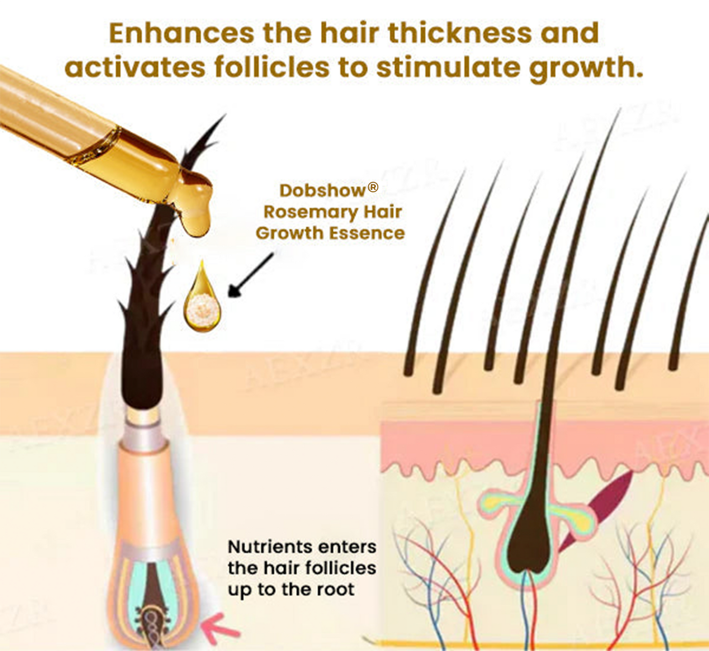 Dobshow® Rosemary Hair Growth Serum (Promotes Fuller Hair, Beard & Brows) >> ✅75%OFF