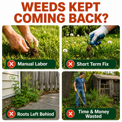⚡𝐎𝐟𝐟𝐢𝐜𝐢𝐚𝐥 𝐀𝐔 𝐒𝐭𝐨𝐫𝐞 | Healrize® 2-𝖎𝖓-1 Max Strength Herbicide: Fast Acting Results on Glyphosate-Resistant Weeds