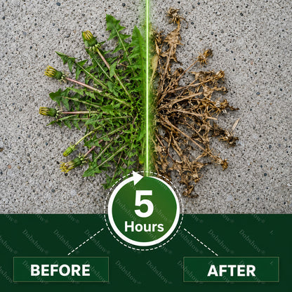 🔥Healrize® 5-Hour Max Power Dual-Action Herbicide | Fast-Acting Granules for Stubborn Weeds & Brush