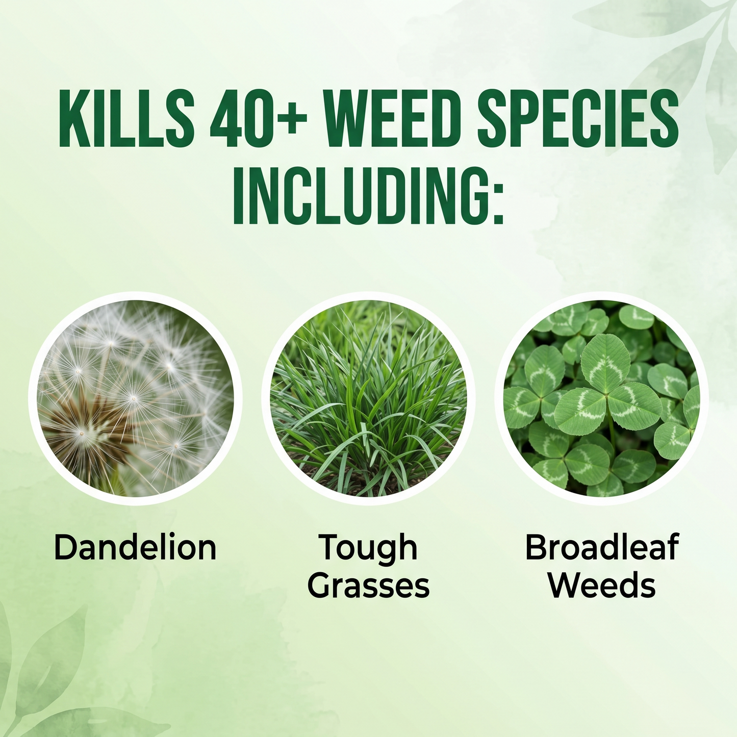 Healrize® 2-in-1 Max Strength Herbicide: Fast Acting Results on Glyphosate-Resistant Weeds